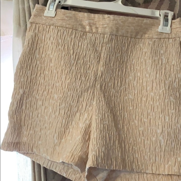 Shorts - Picture 2 of 5